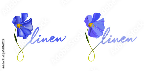 Linen flower, gradient and flat version