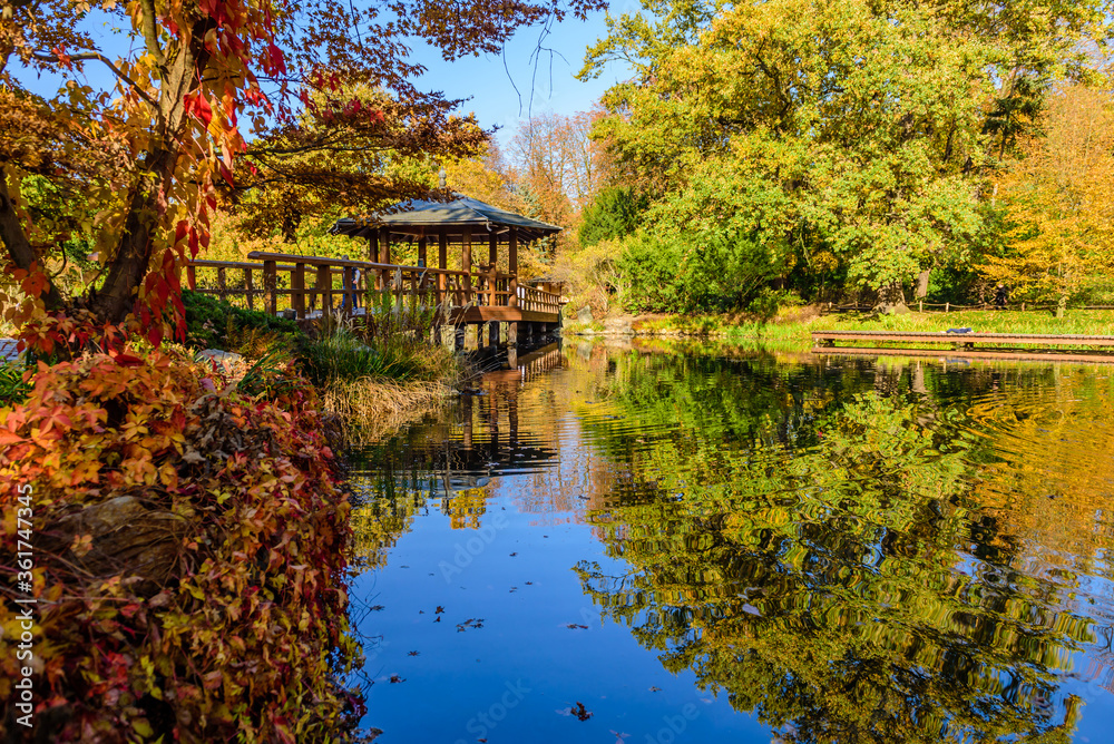Sightseeing of Wroclaw, Poland. Picturesque Japanese garden in autumn
