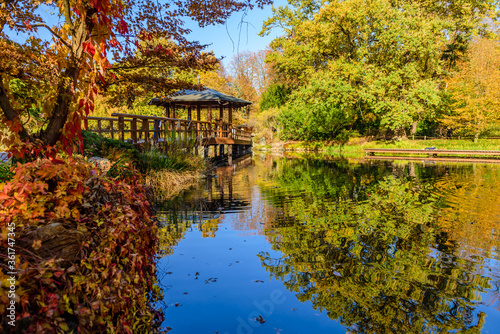 Fototapeta Naklejka Na Ścianę i Meble -  Sightseeing of Wroclaw, Poland. Picturesque Japanese garden in autumn