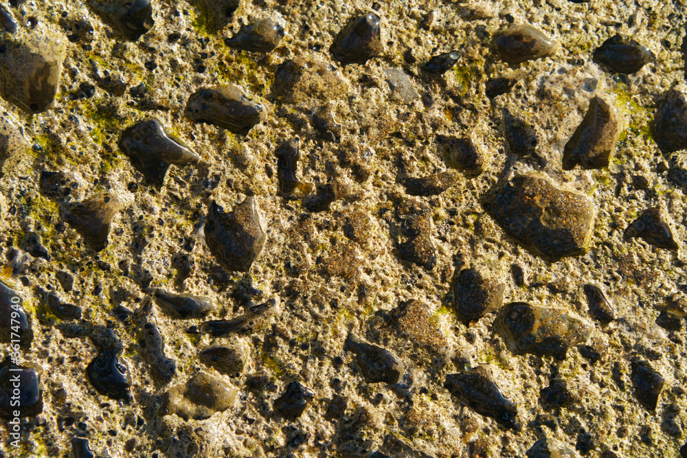 Image of stone texture. Detail of cliff in Zumaia in Basque Autonomous Community / country in summer cloudy day in Bay of Biscay. Ornamental pattern of stone surface. High resolution image. Image of stone texture. Detail of cliff in Zumaia in Basque Autonomous Community / country in summer cloudy day in Bay of Biscay. Ornamental pattern of stone surface. High resolution image.