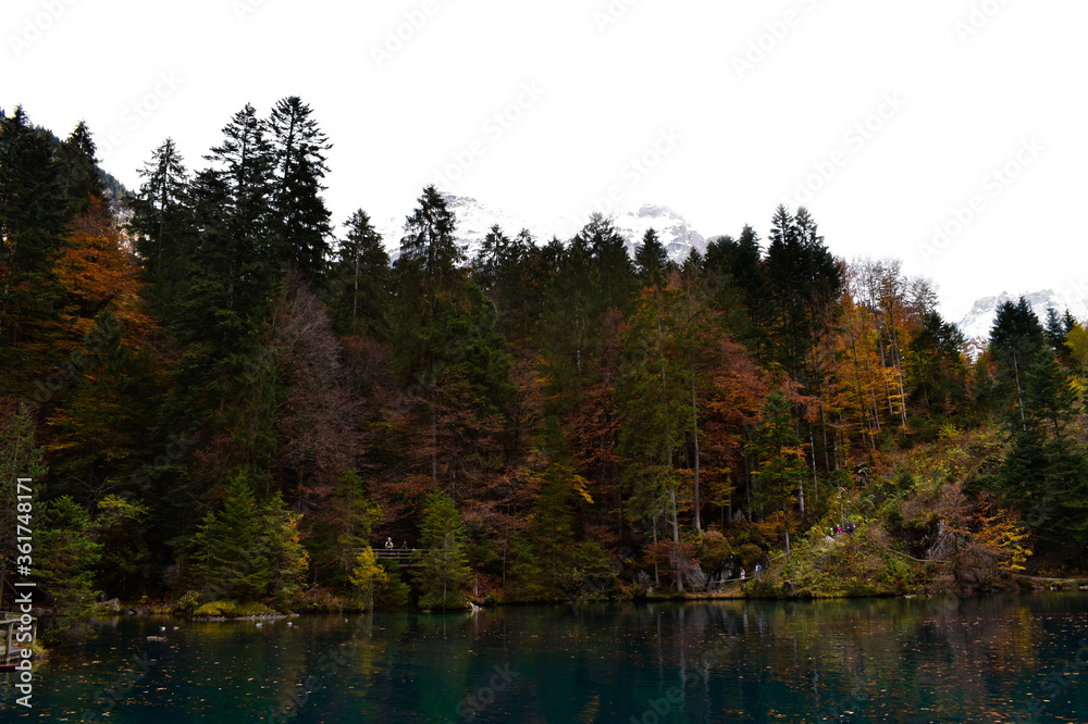 Obraz premium Blausee, Kandergrund, Switzerland - 11.01.2018: Beautiful mountain blue lake in the mountains. Autumn landscape, yellow trees. Crystal clear, transparent water of the blue lake. Mountain landscape.