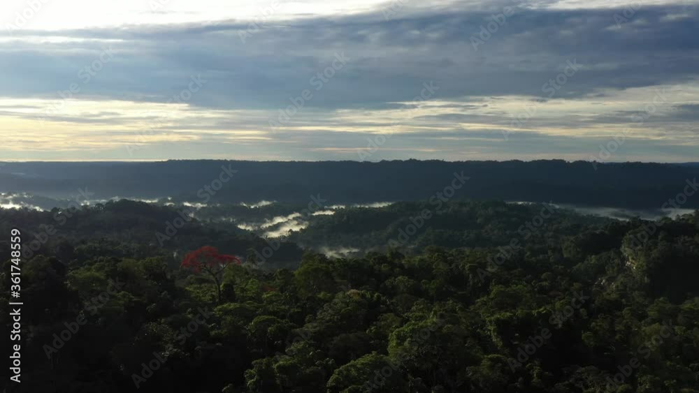 A morning in a mountainous, hilly area covered in trees and with leftover clouds settling in the lower parts of the hills of the tropical rainforest
A morning in a mountainous, hilly area covered in trees and with leftover clouds settling in the lower parts of the hills of the tropical rainforest