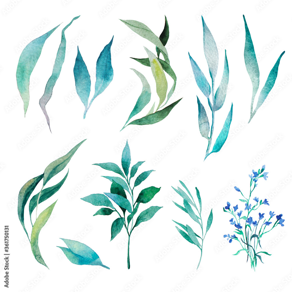 Naklejka premium Watercolor botanical illustration. Set of leaves, blue flowers, twigs, blade of grass