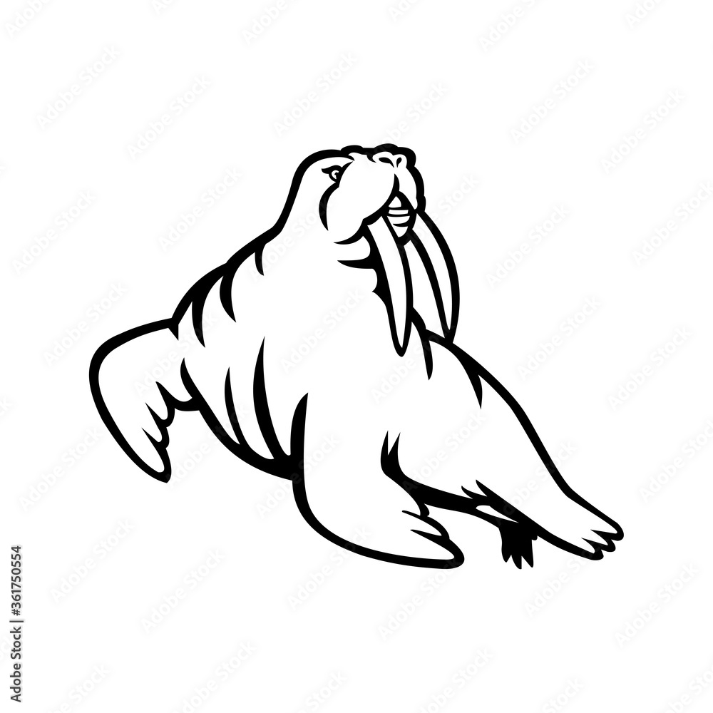 Long-tusked Atlantic or Pacific Walrus Mascot Black and White Long-tusked Atlantic or Pacific Walrus Mascot Black and White
