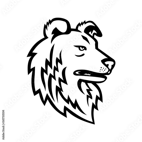 Shetland Sheepdog or Shetland Collie Mascot Black and White