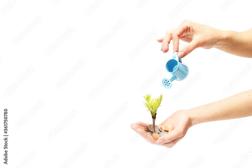 Small seedling growing and being watered by coins isolated on white background with copy space