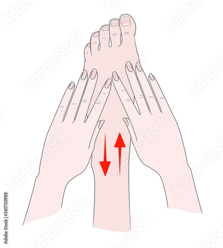 Foot massage. Bunion.  Hallux valgus or bunion formation of the foot. Female hands massage the foot. Kneading and prevention of diseases of the bones of the thumb. Vector illustration