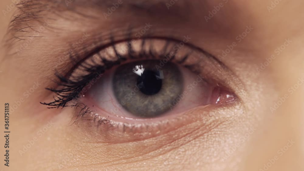 Light eye color. Close up of beautiful female eyes and eyelashes. Light eye color. Close up of beautiful female eyes and eyelashes.