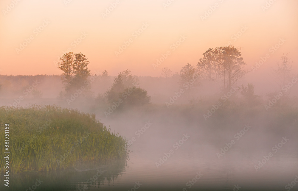 Naklejka premium Beautiful summer sunrise. Trees misty reflection in water