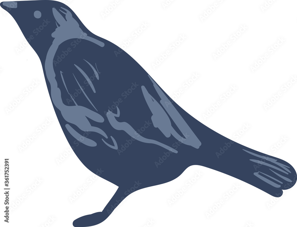 Fototapeta premium Jackdaw bird simple vector illustration. Common bird with dark featheres.