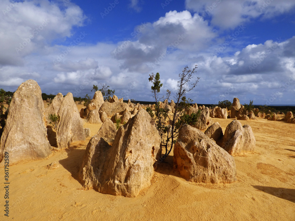 Western Australia, Pinnacles Desert