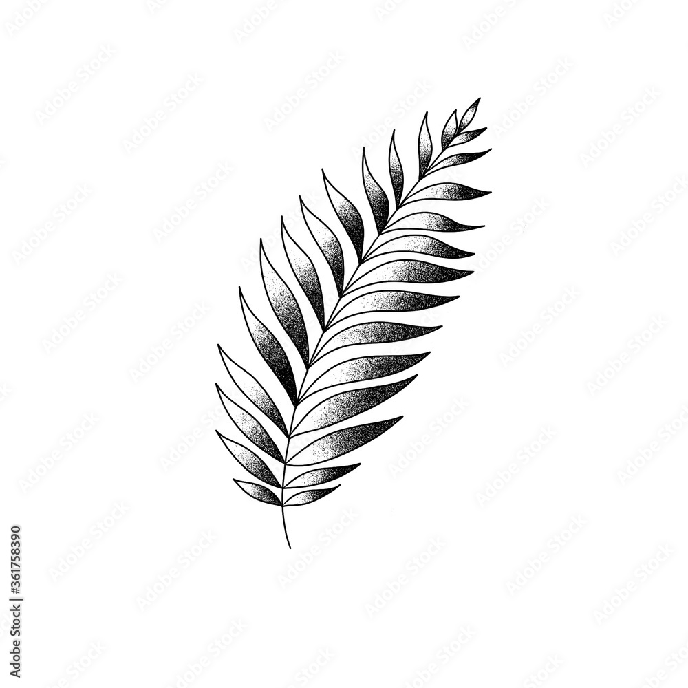 Obraz premium leaf isolated on white