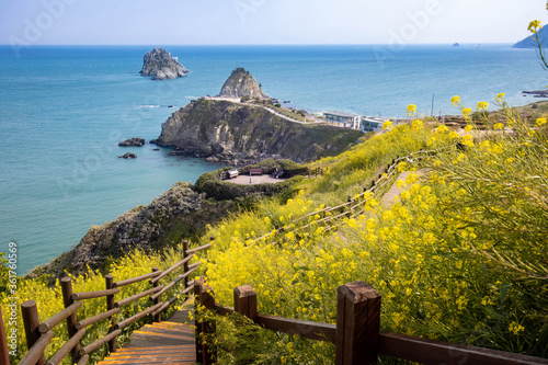 view of the coast of the sea