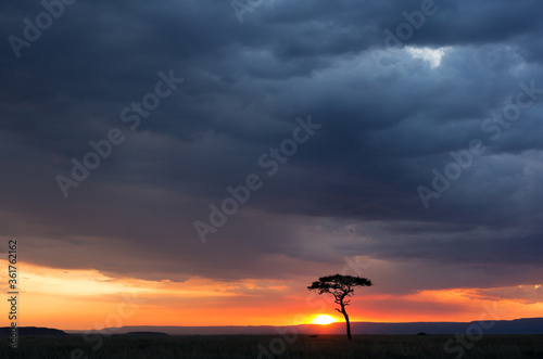 Beautiful sunset at Masai Mara with dark dense cloud, Kenya