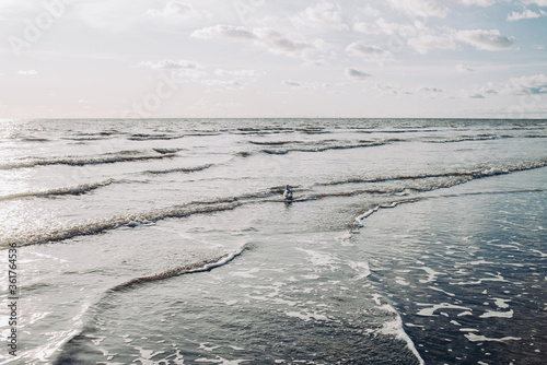 Nordseestrand in Blåvand in Dänemark photo