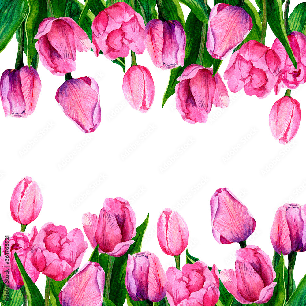 Fototapeta premium Watercolor frame of pink tulips. Card with tulips for Mother's Day, wedding, birthday. Flowers are isolated on a white background.