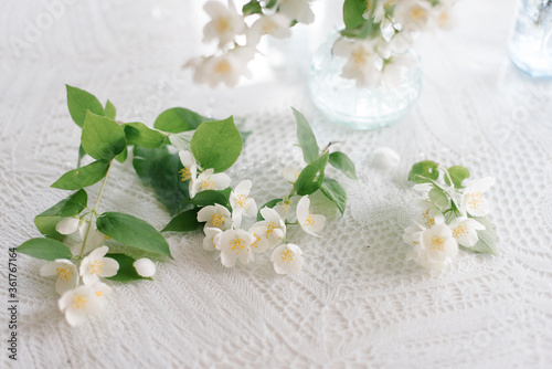White blossom jasmine flowers in vase on the table