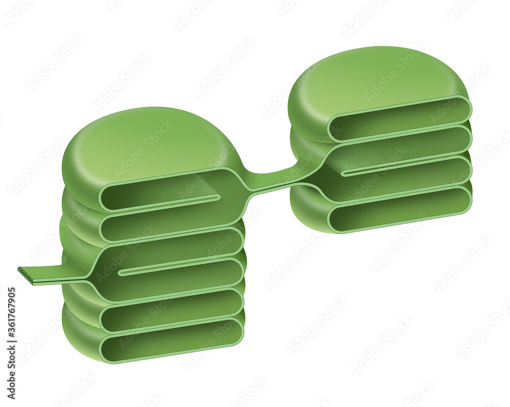 Structure of chloroplast granum Thylakoid Stock Illustration Adobe Stock