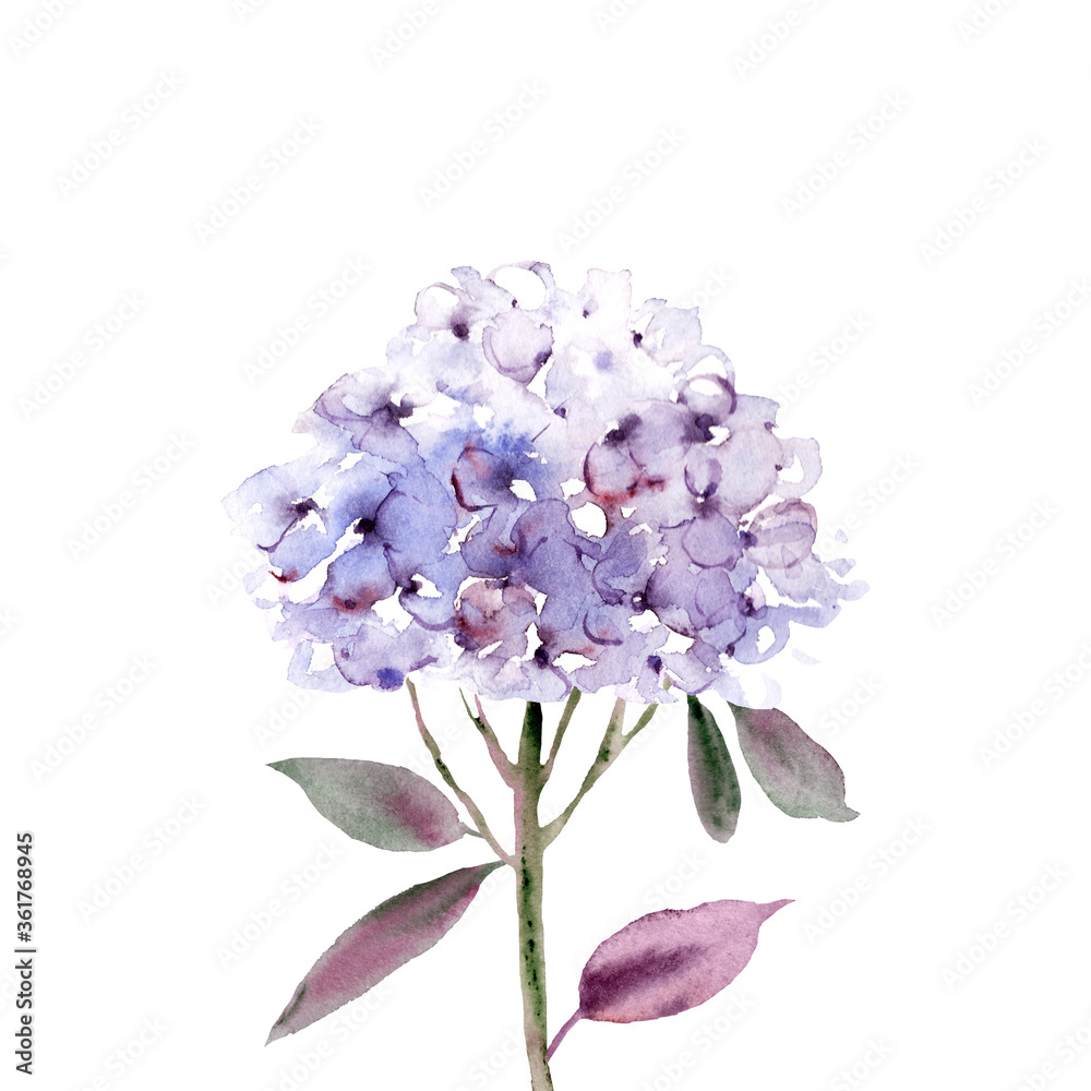 Hand drawn watercolor flowers. Hand drawn watercolor flowers.