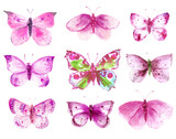 Colorful butterflies and moths set
