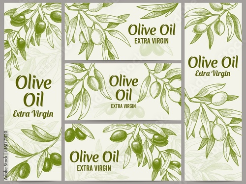 Vászonkép Olive oil banner
