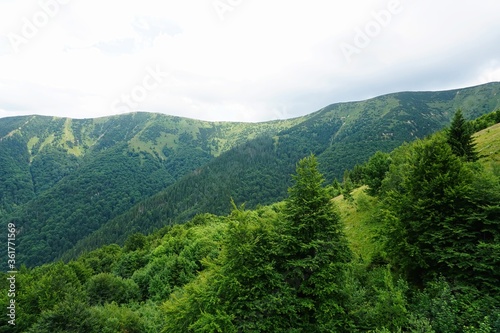 Mala Fatra mountains panorama in summer, Slovakia © Art Johnson