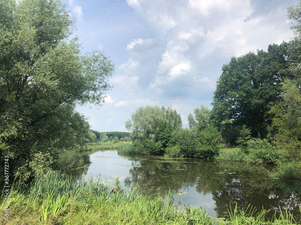 The Beneden Regge river in Overijssel The Beneden Regge river in Overijssel