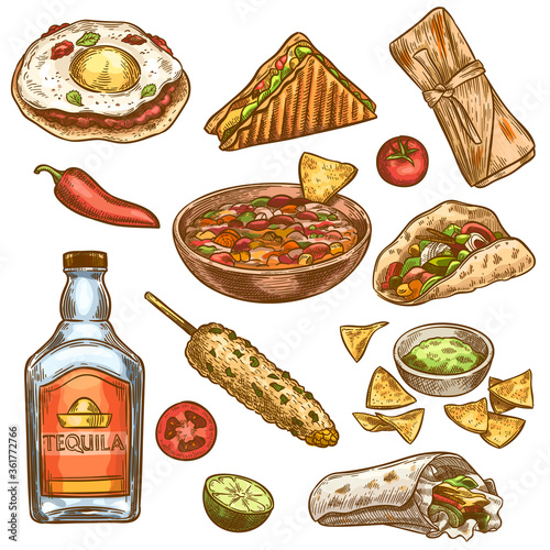 Traditional mexican food. Mexican national burrito, tacos and nachos, enchilada and chili pepper, tequila colored sketch vector set. Engraving vintage meal for menu design, spicy ingredients