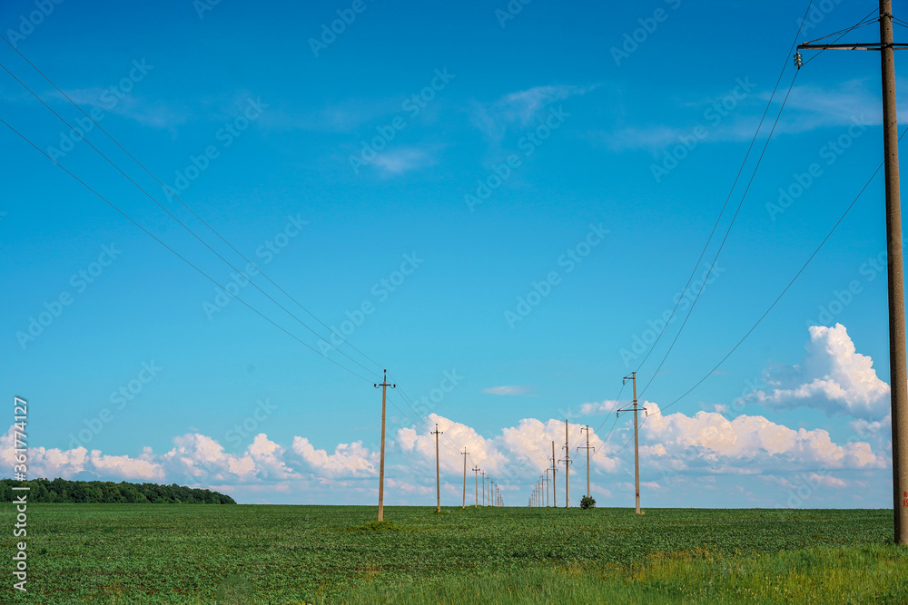 A picturesque landscape of a green field, the background divides the blue sky and grass, rural panorama of nature A picturesque landscape of a green field, the background divides the blue sky and grass, rural panorama of nature