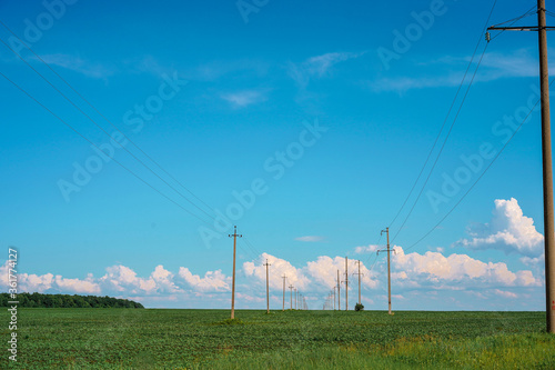A picturesque landscape of a green field, the background divides the blue sky and grass, rural panorama of nature