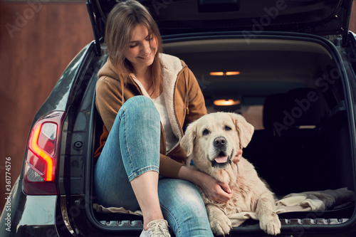 Young woman in blue jeans next to golden retriever sitting in open trunk of black car © Sergey
