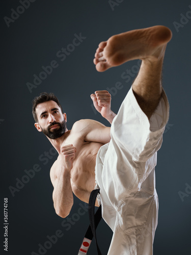 Karateka Sensei at work