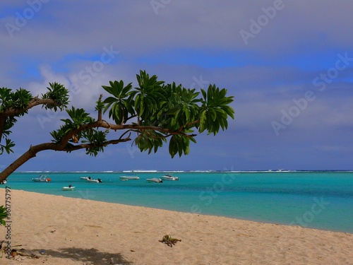 Fototapeta Naklejka Na Ścianę i Meble -  Mauritius, beach and turquoise waters of Blue Bay