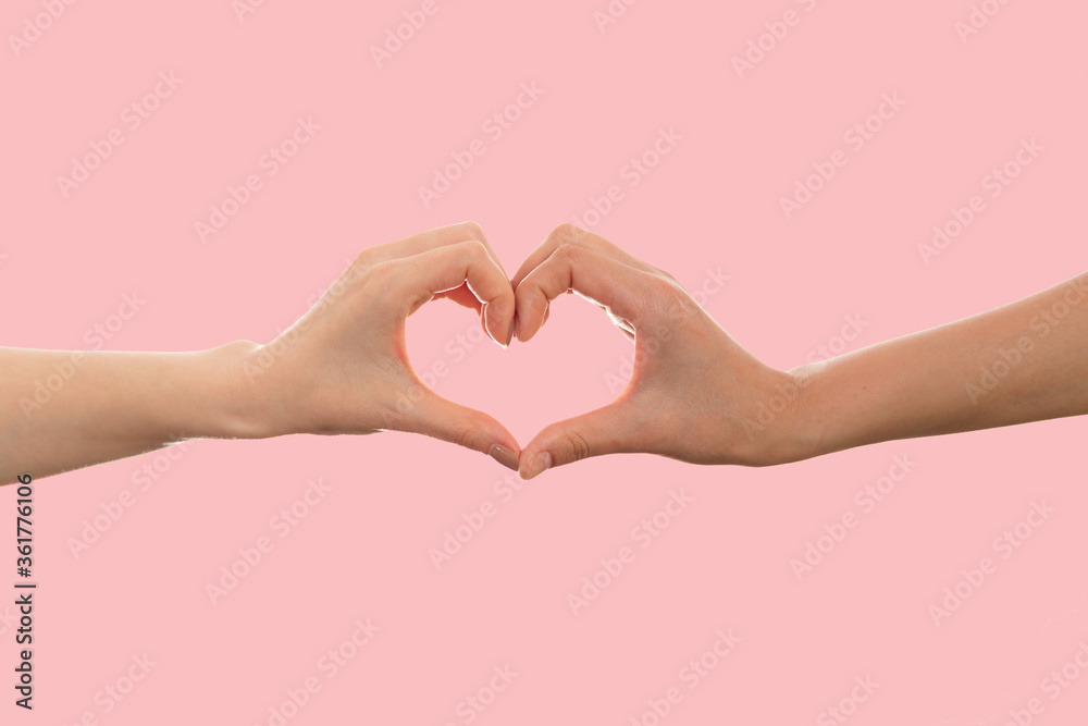 Fototapeta premium LGBT. Two females hands shows the heart sign with their fingers. Pink background. Copy space. The concept of the LGBT movement and gay day