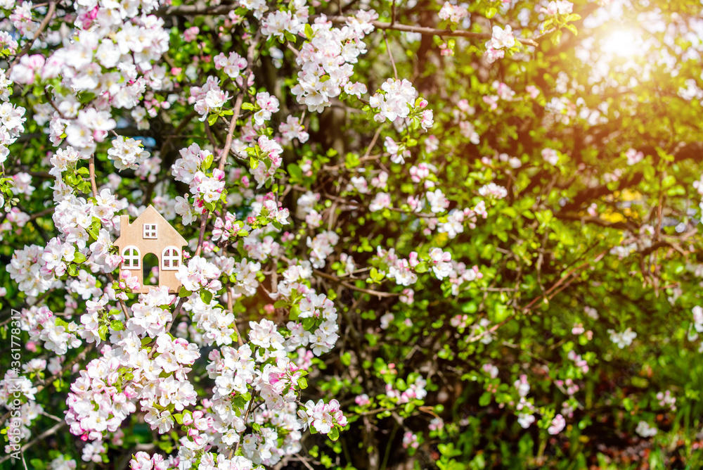 Symbol of the house on the branches of a flowering apple

