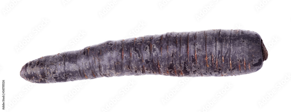 Fresh raw black carrot isolated on white Fresh raw black carrot isolated on white