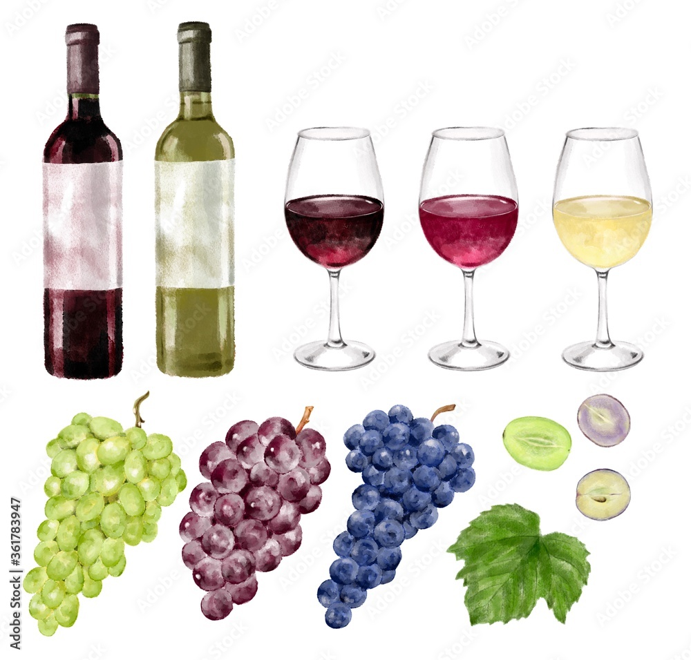 葡萄とワインのセット 水彩風イラスト Stock Illustration Adobe Stock