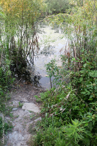 Trail to creek