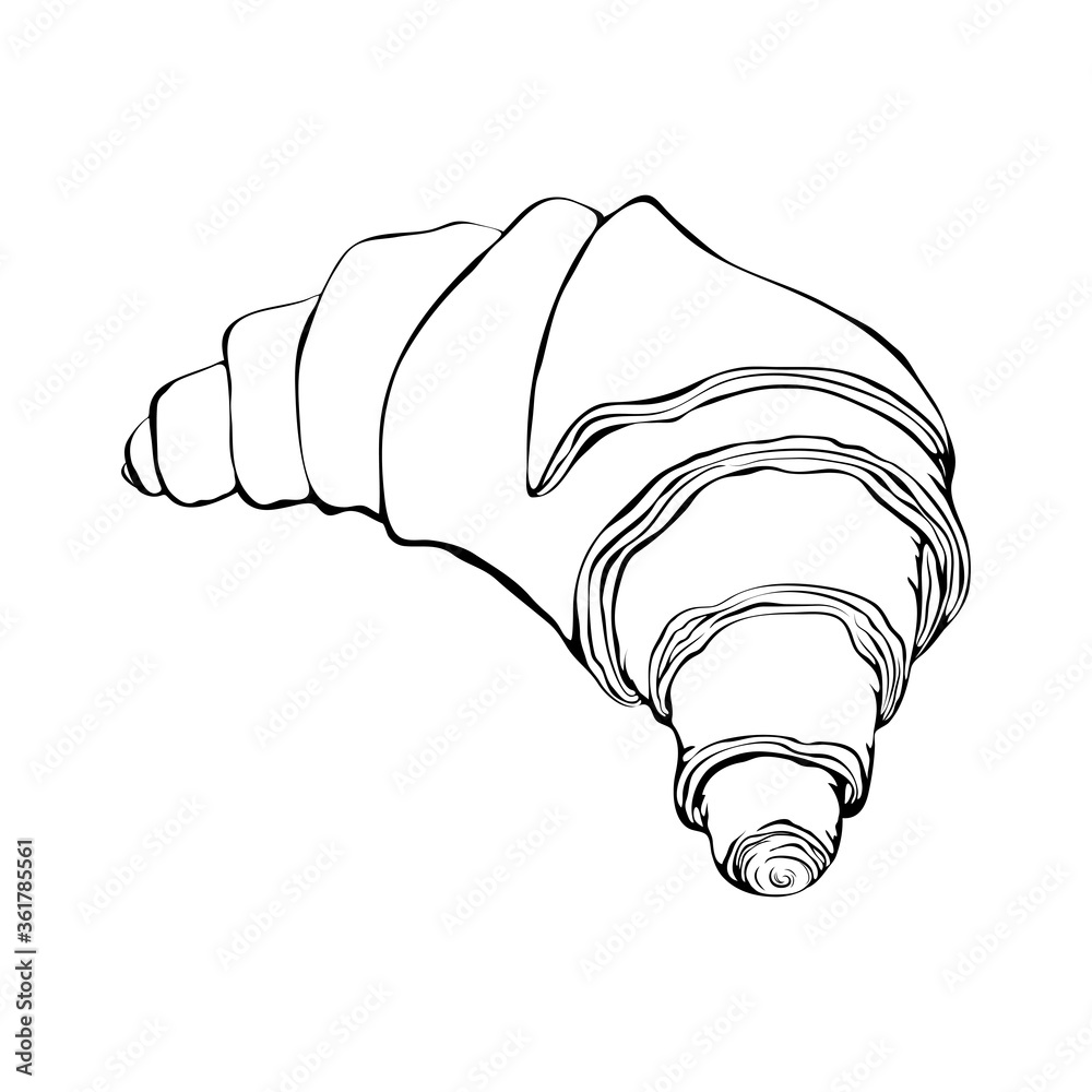 Hand drawn french croissant sketch isolated on white. vector ...