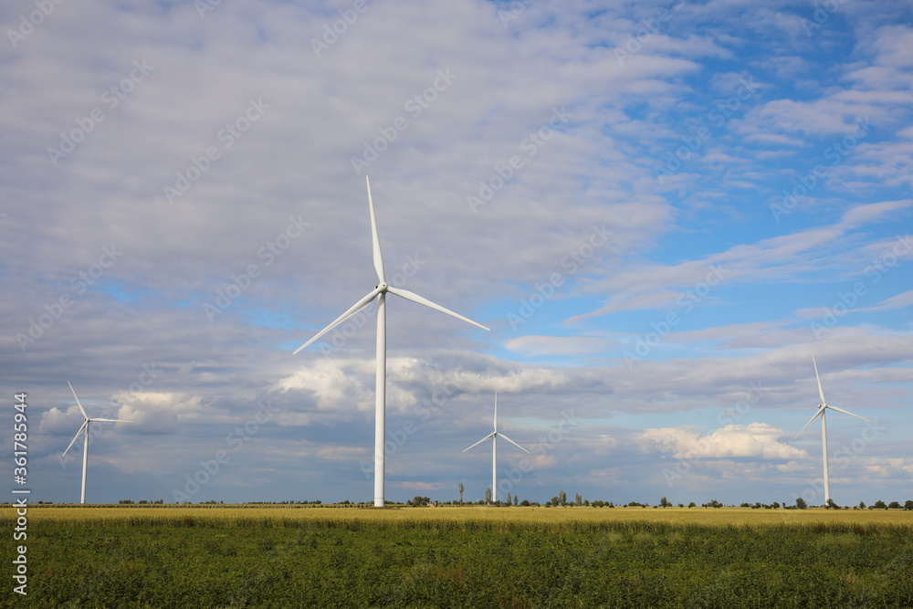 Beautiful view of field with wind turbines. Alternative energy source Beautiful view of field with wind turbines. Alternative energy source