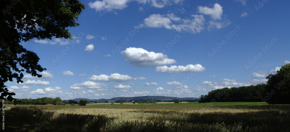 Blick auf den Steigerwald bei Dürrfeld Blick auf den Steigerwald bei Dürrfeld