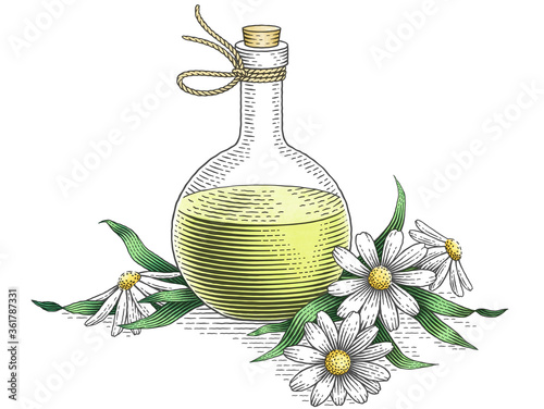Obraz na plátně Chamomile flowers and bottle with chamomile extract