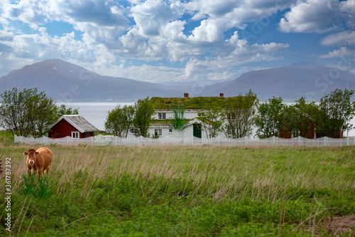 Foto Old farmhouse in the countryside Innlandet in Hadsel municipality, Northern Norw