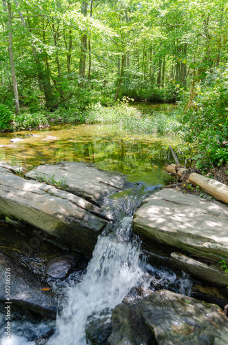 waterfall in stream in the forest