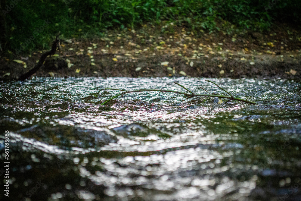 Fototapeta premium Creek in Virginia