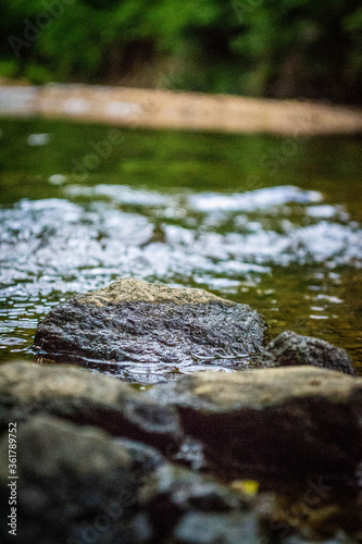 Creek in Virginia