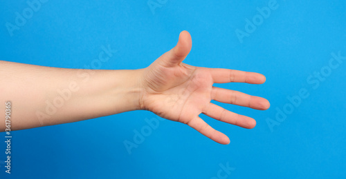 outstretched hand of man, open hand, part of the body on a blue background © nndanko