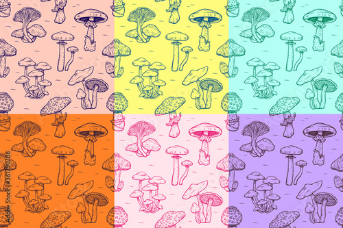 Seamless pattern of Forest types of poisonous mushrooms collection, edible and non-edible boletus in retro sketch style wallpaper for textile and fabric. Fashion style. Colorful bright.