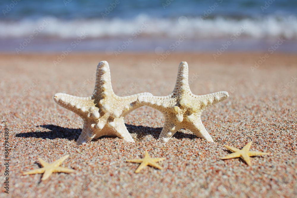 Starfish on the beach. Sandy beach with waves. Summer vacation concept. Holidays by the sea Starfish on the beach. Sandy beach with waves. Summer vacation concept. Holidays by the sea