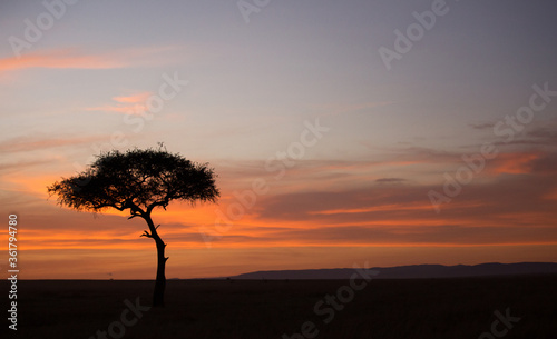 Sunsrise at Masai Mara  Kenya